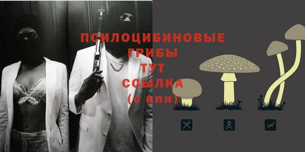тгк Богородск