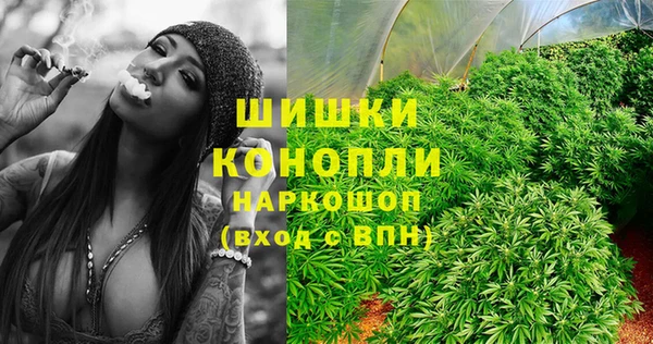 тгк Богородск